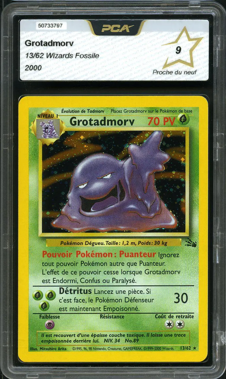 PCA 9 Grotadmorv Holo