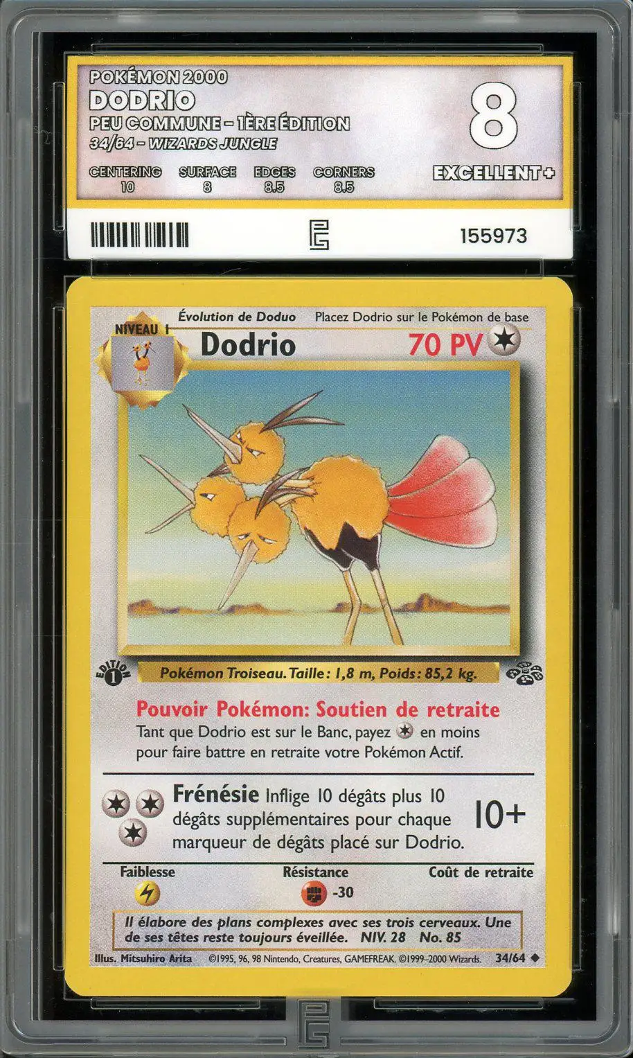 PG 8 Dodrio