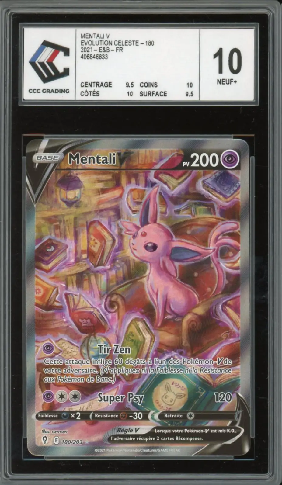 CCC 10 Mentali V