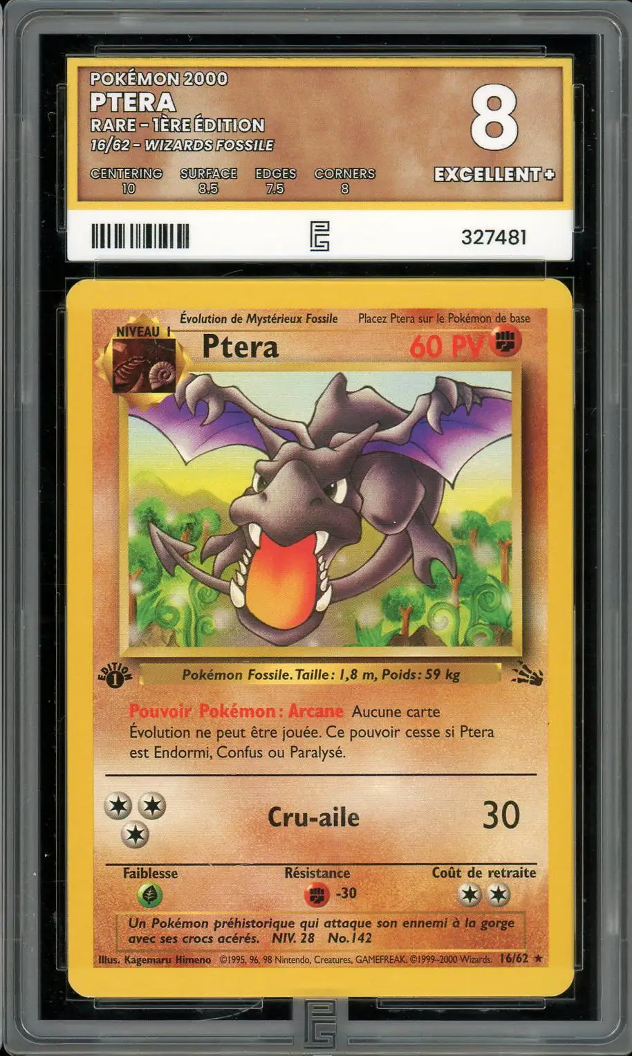 PG 8 Ptera