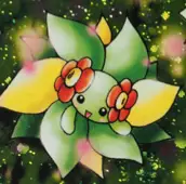 Joliflor