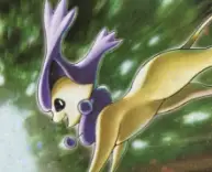 Delcatty