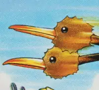 Doduo