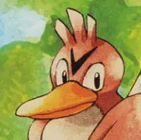 Canarticho