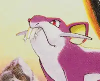 Rattata