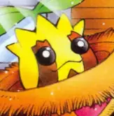 Sunkern
