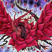 Dragon Rose Noire