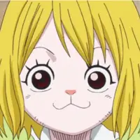 Carrot