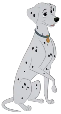 Perdita