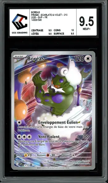 CCC 9.5 Boréas