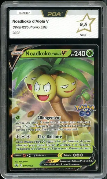 PCA 9.5 Noadkoko d'Alola V