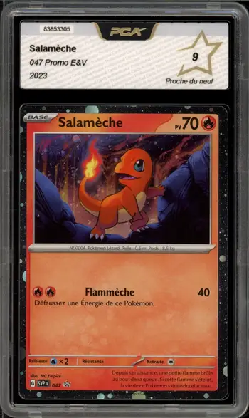 PCA 9 Salamèche