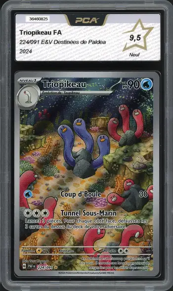 PCA 9.5 Triopikeau
