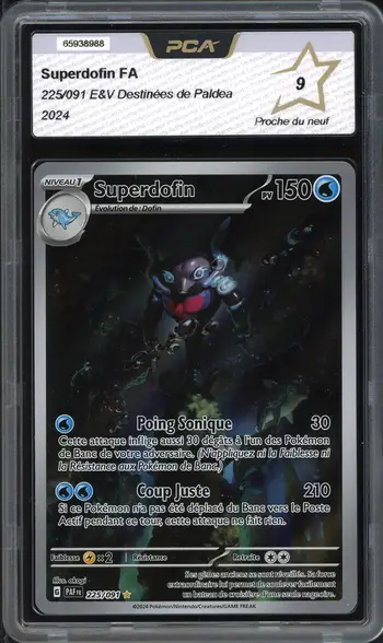 PCA 9 Superdofin