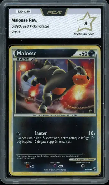PCA 9 Malosse Reverse