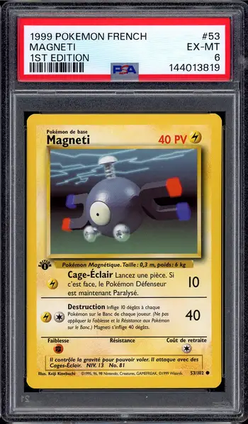 PSA 6 Magneti