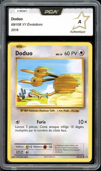 PCA A Doduo