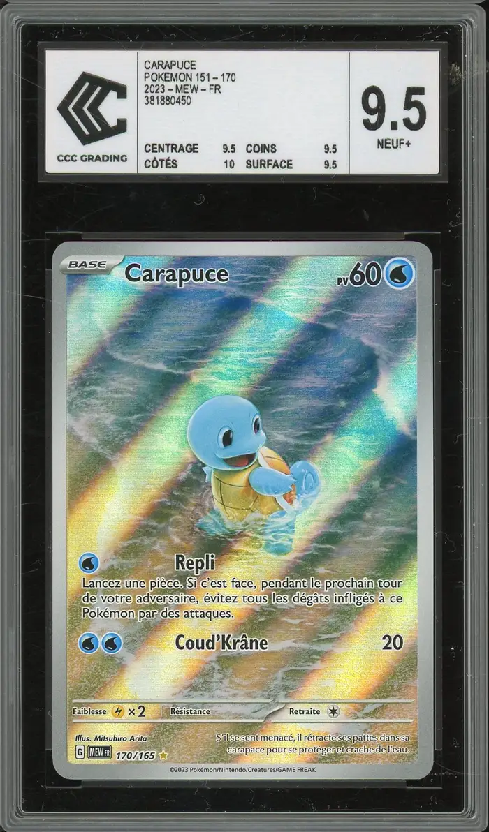 CCC 9.5 Carapuce