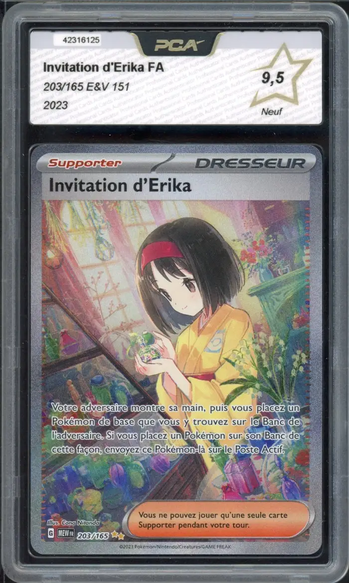 PCA 9.5 Invitation d'Erika