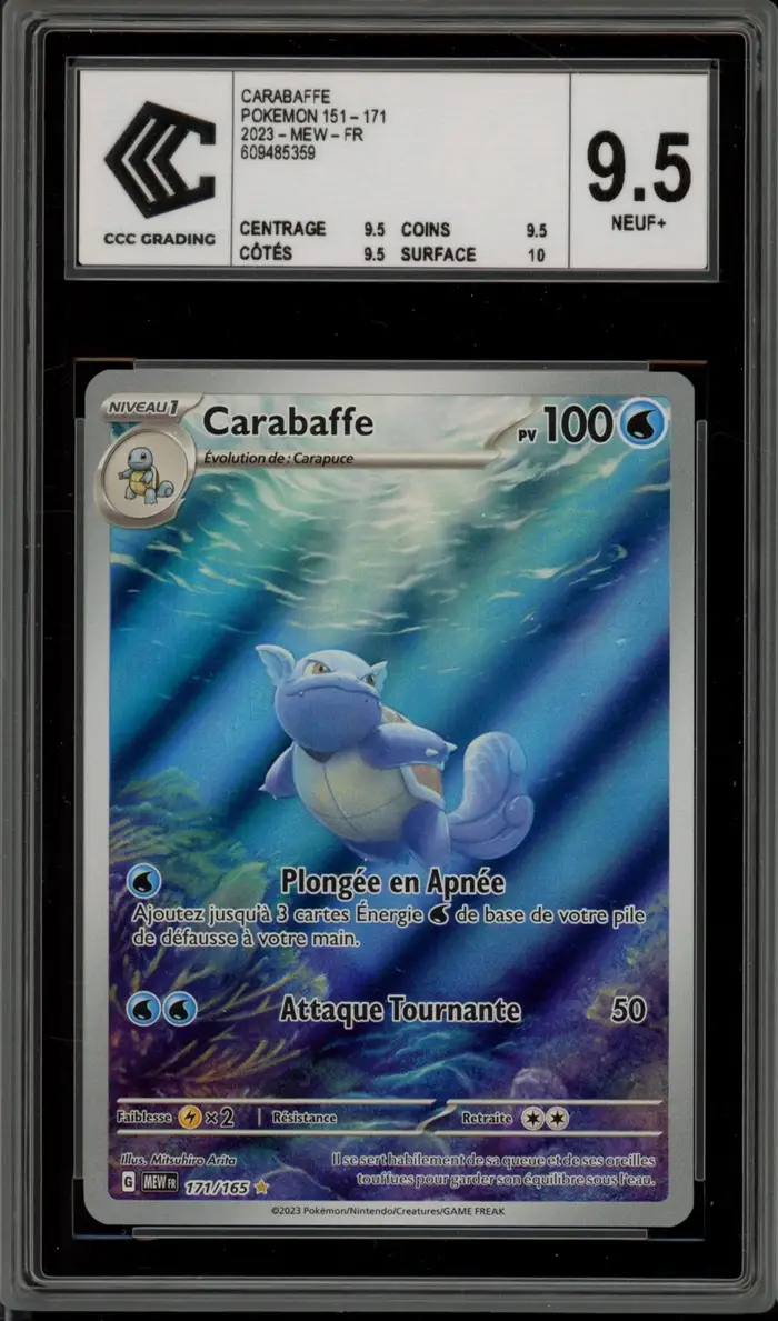 CCC 9.5 Carabaffe