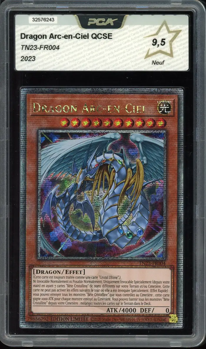 PCA 9.5 Dragon Arc-En-Ciel