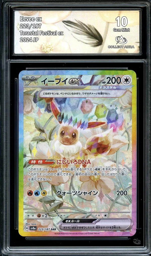 CA 10 Eevee Ex